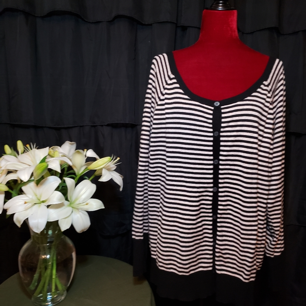 Lane Bryant Plus Sized Scoopneck Sweater